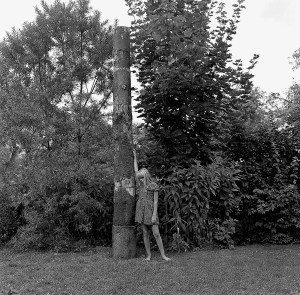 Trees Reconstruction