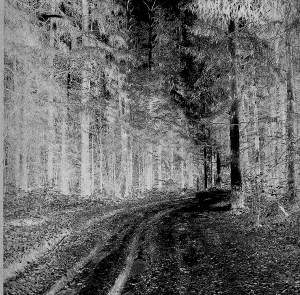 "Шиворот- навыворот""Topsy-turvy"